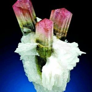 Meet your Posher, Annette